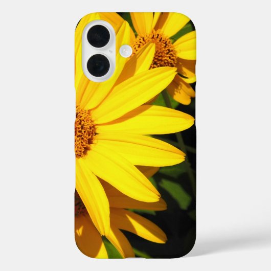 Coque iphone de pétales Sunny Yellow Daisy (Verso)
