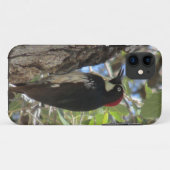 Coque iphone de pivert de gland (Dos (Horizontal))