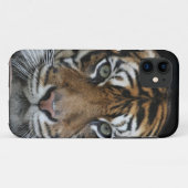 Coque iphone de tigre (Dos (Horizontal))