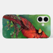 Coque iphone du Cardinal rouge du Nord (Verso (horizontal))