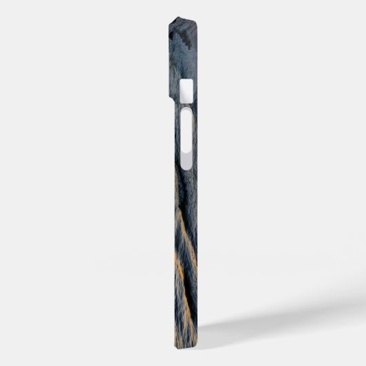 Coque iphone du coucher de soleil de Floride Gulf (Verso / Gauche)