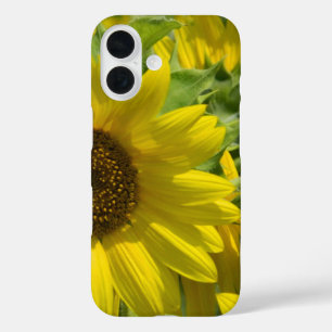 Coque iphone du jardin de tournesol