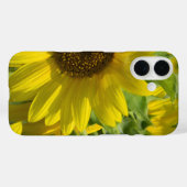 Coque iphone du jardin de tournesol (Verso (horizontal))