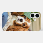 Coque iphone du roi Charles Cavalier 16 (Verso (horizontal))