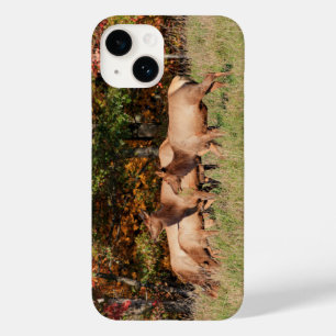 Coque iphone Elk