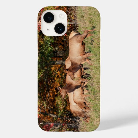 Coque iphone Elk (Verso)