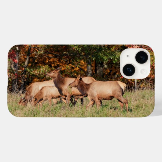 Coque iphone Elk (Verso (horizontal))