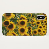 Coque iphone ensoleillé de tournesols (Dos (Horizontal))