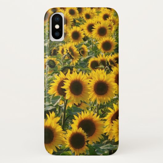 Coque iphone ensoleillé de tournesols (Dos)