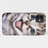 Coque iphone Excited mignon de chaton (Dos (Horizontal))