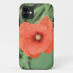 Coque iphone Fleur de Poppy sauvage