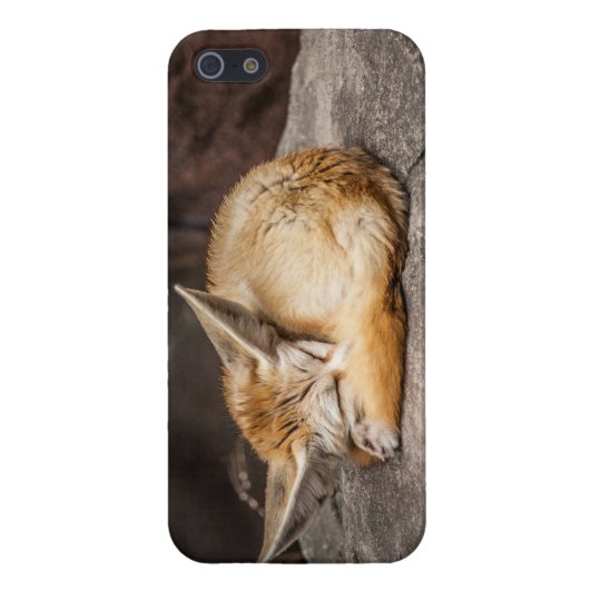 Coque iPhone Fox mignon de Fennec (Dos)