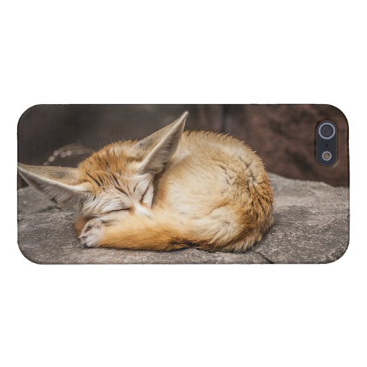 Coque iPhone Fox mignon de Fennec (Dos Horizontal)