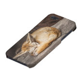 Coque iPhone Fox mignon de Fennec (Bas)