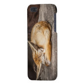 Coque iPhone Fox mignon de Fennec (Dos Gauche)