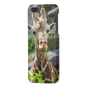 Coque iPhone Girafe (Dos Gauche)