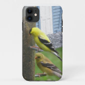 Coque iphone Goldfinches (Dos)