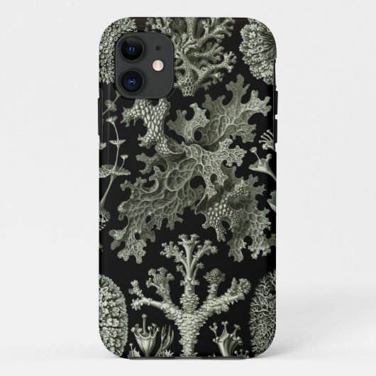coque iphone Haeckel - Lichenes (Dos)