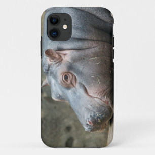 Coque iphone Hippopotame