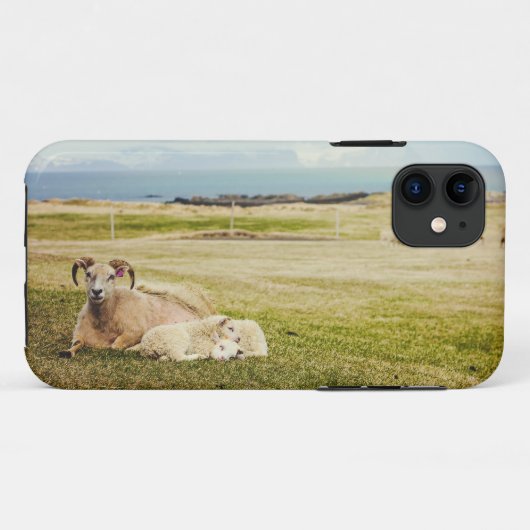 Coque iphone islandais de moutons (Dos (Horizontal))