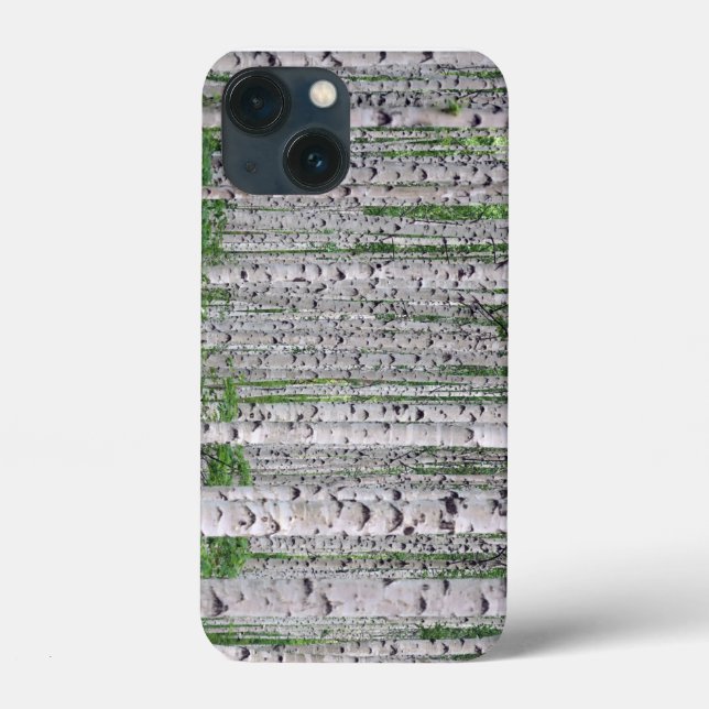 Coque iphone naturel de la forêt de Birch Tree (Verso)