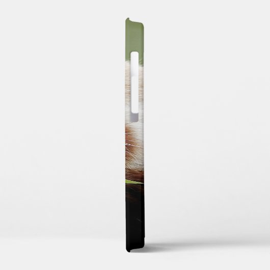 coque iphone Photo panda géant, animaux. (Verso / Gauche)