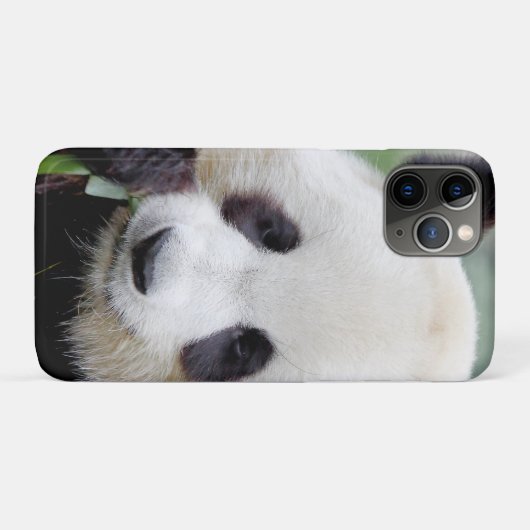 coque iphone Photo panda géant, animaux. (Dos (Horizontal))