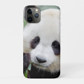 coque iphone Photo panda géant, animaux. (Dos)