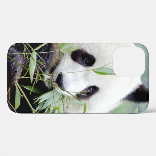 coque iphone Photo panda géant, animaux. (Verso (horizontal))