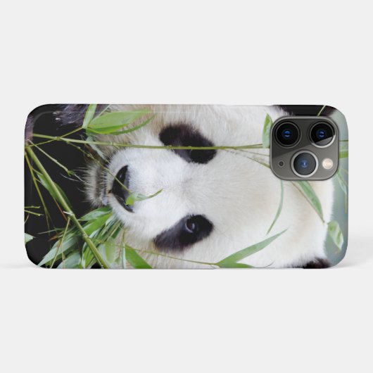 coque iphone Photo panda géant, animaux. (Dos (Horizontal))
