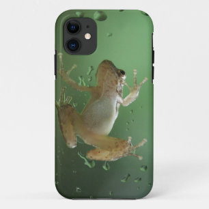 Coque iphone réaliste superbe de grenouille