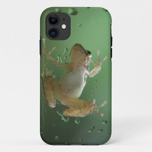 Coque iphone réaliste superbe de grenouille (Dos)