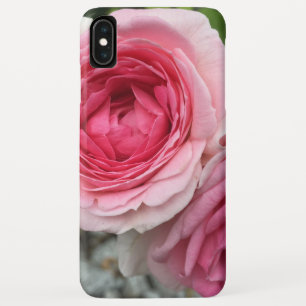 Coque iphone rose Roses