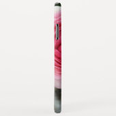 Coque iphone rose Roses (Dos/Droite)