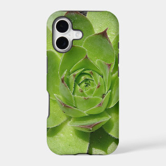 coque iphone succulent