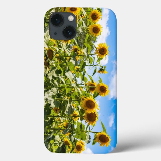 Coque iphone tournesol (Verso)