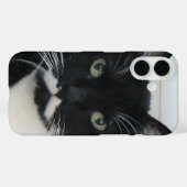 Coque iphone Tuxedo (Verso (horizontal))