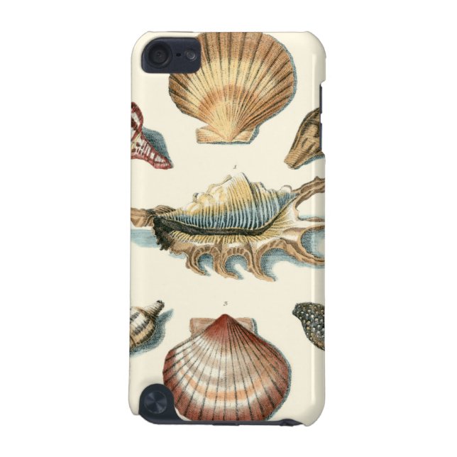 Coque iPod Touch 5G Plage de Shell soignée (Dos)
