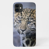 Coque Leopard Cub iPhone 11 (Dos)