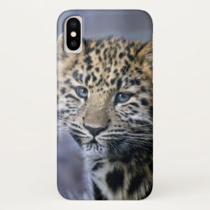 Coque Leopard Cub iPhone X