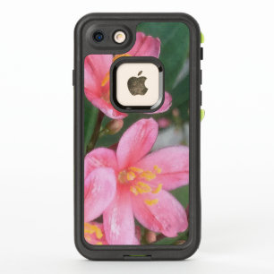 Fleurs roses de Key West