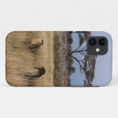coque lion africa iphone4 (Dos (Horizontal))