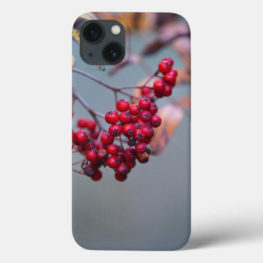 Coque-Mate à peine Il Apple iPhone 13 Coque (Verso)