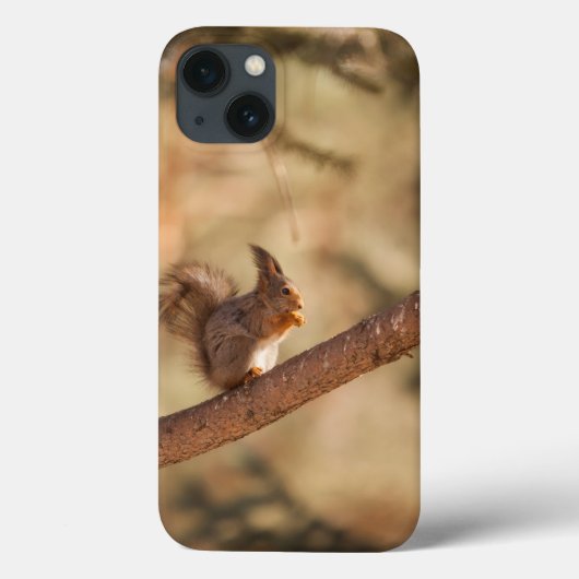 Coque-Mate à peine Il Apple iPhone 13 Coque (Verso)