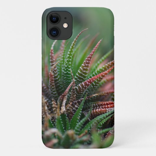 Coque-Mate à peine là Apple iPhone 11 Coque (Dos)
