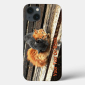 Coque-Mate Cuties Catnap coque iphone (Verso)