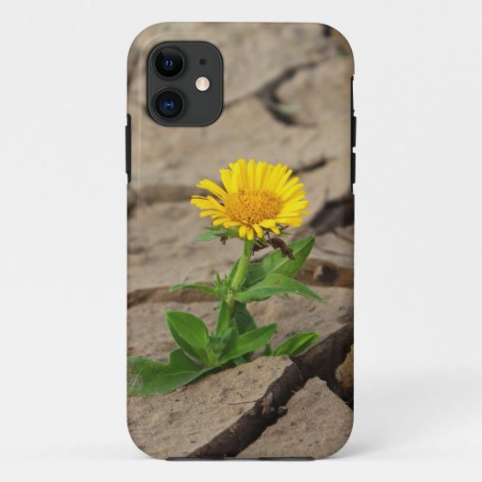 Coque-Mate Tough Apple iPhone 11 Coque (Dos)
