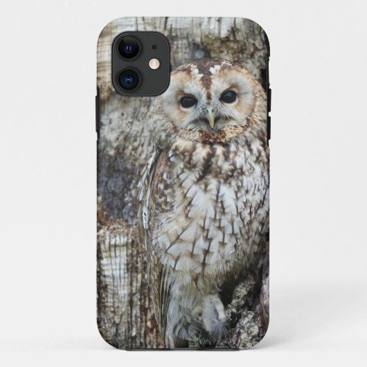 Coque-Mate Tough Apple iPhone 11 Coque (Dos)