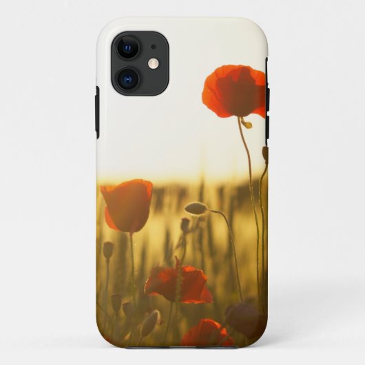 Coque-Mate Tough Apple iPhone 11 Coque (Dos)