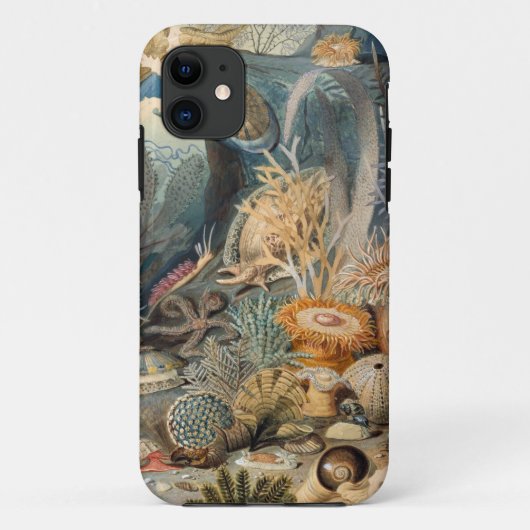 Coque-Mate Tough Apple iPhone 11 Coque (Dos)